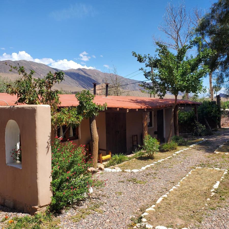 Alta Montana Cabanas Tilcara Exterior photo