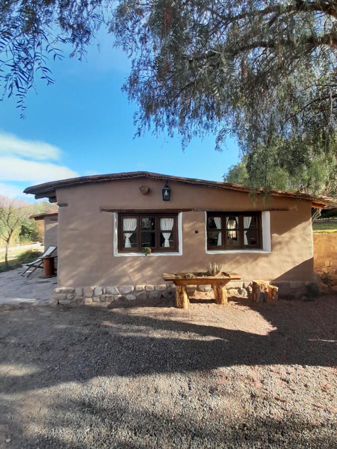 Alta Montana Cabanas Tilcara Exterior photo